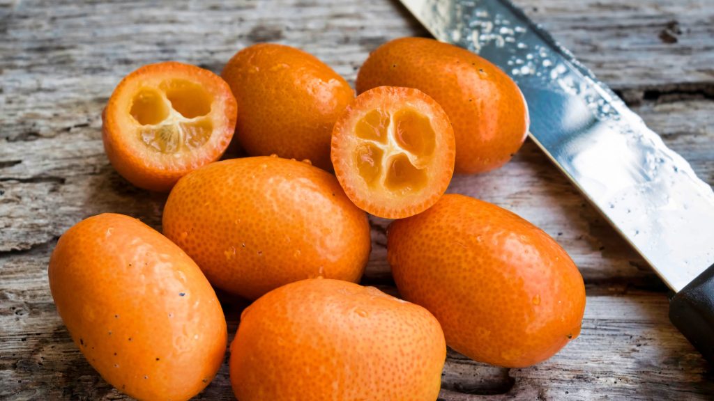 Curiosidades de la naranja china o Kumquat