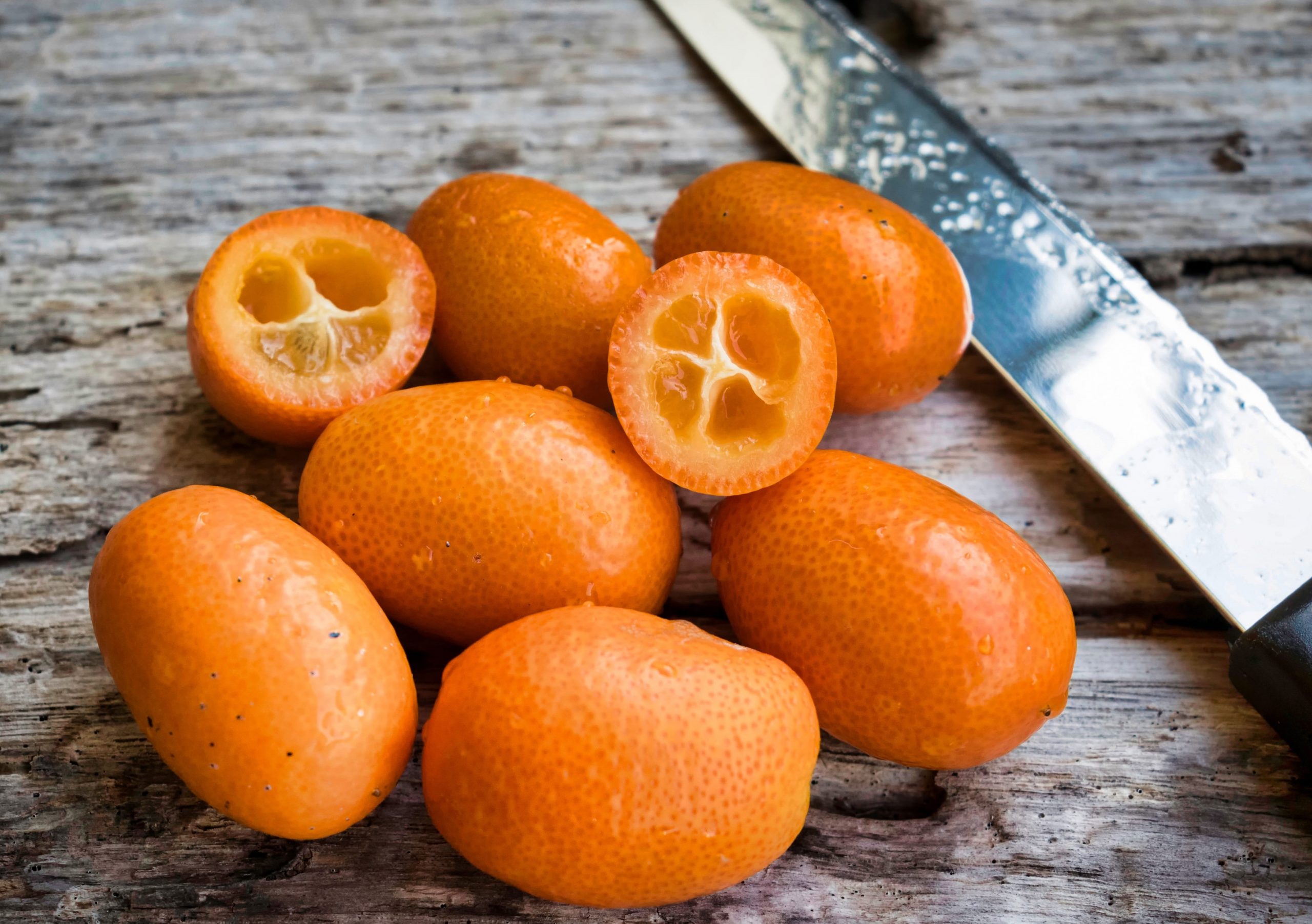 Curiosidades del kumquat, la “naranja enana” china - Turrones Pablo Garrigós