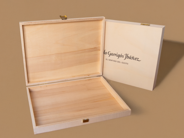 CAJA_MOCKUP_PGI